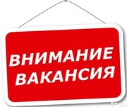 На постоянную работу приглашаем портных-швей